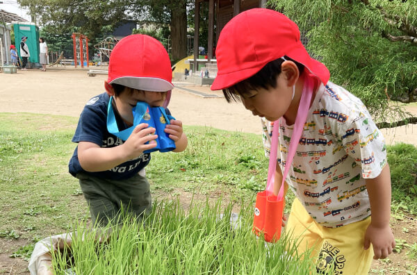 太子幼稚園の日常風景