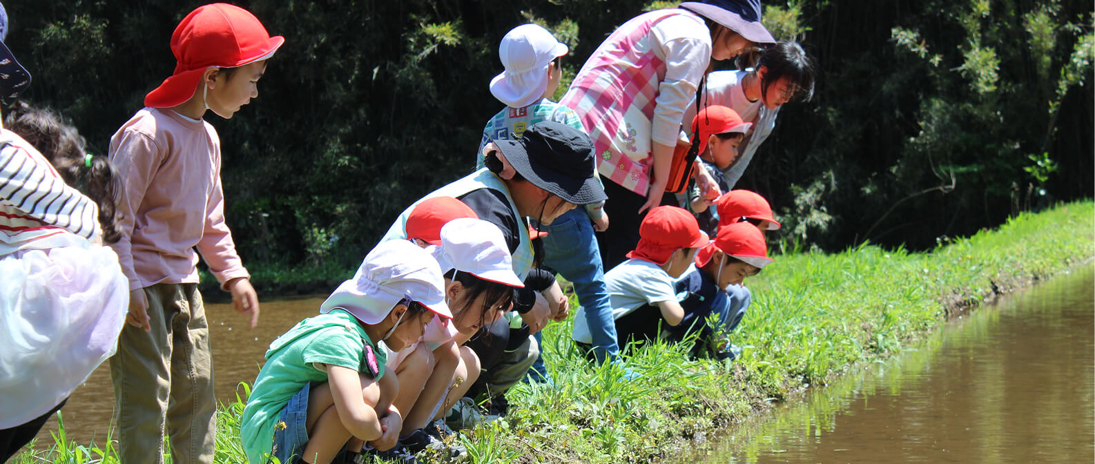 太子幼稚園の日常風景