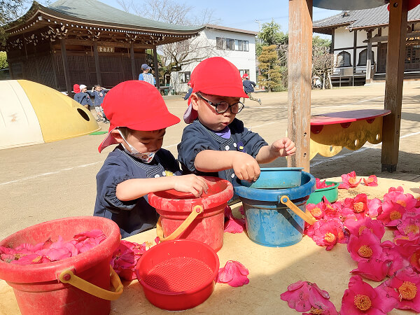 太子幼稚園の日常風景